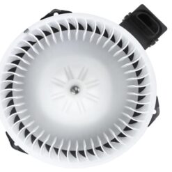 Blower Motors